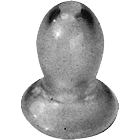 BT-2