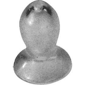 BT-4