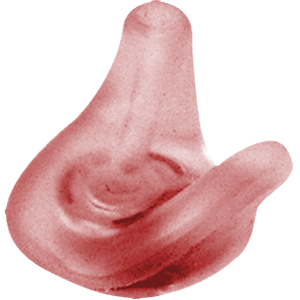 EMM-1R-2L.png